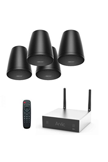 Bose System with black Bose FreeSpace FS2P Hanging Speakers and Arylic A30+ Wi-Fi amplifier