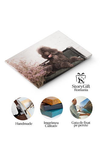 StoryGift Romania Tablou Canvas Caine Pudel, Aproape De Capul Ciocolate Pudel, Cap, Detaliu, Animal, Ras 3604