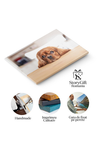 StoryGift Romania Tablou Canvas, Caine Simpatic Cerand Mancare In Bucatarie - Spaniel, Ochi, Adorabil
