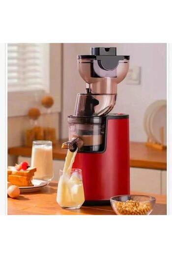 Denx Dinex DX3203 Slow Juicer