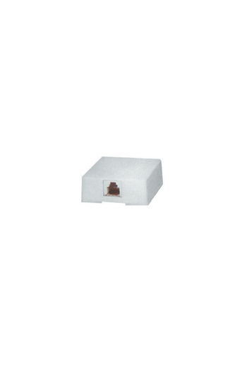 OEM RJ45 8p8c white CAT5 socket