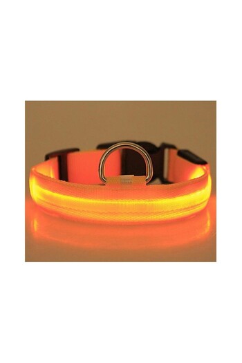 zola Dog collar, with LED light, 3 lighting modes, M, adjustable 36-46cm, orange