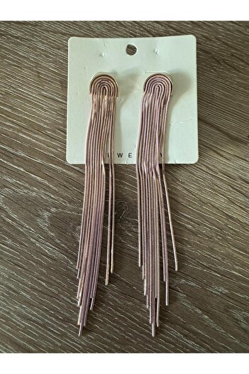 misstakıjewerly Steel Hanging Special Design Earrings
