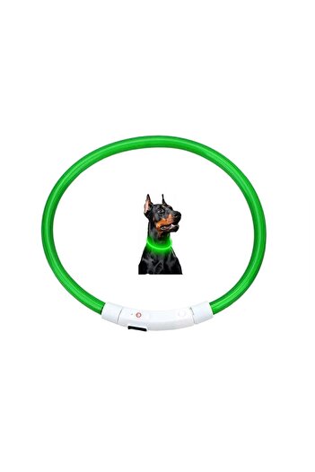 OEM LED illuminated collar for dogs and cats, size L, adjustable up to 70 cm, green