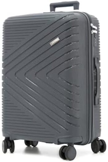 DILIXI Travel Suitcases With Double Spinner Wheels And Digital Lock (GRAY, 28INCH 24INCH 20INCH)