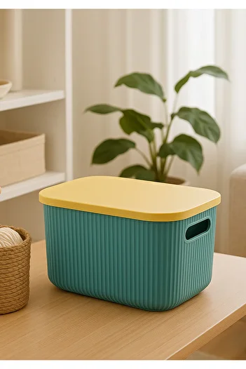 HOMİNG Multi-Purpose Organizer Box with Lid -box-jewelry Makeup Bathroom Kitchen Organizer Org-2013