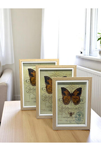 CİHO 3 Size (10×15/13×18/15×20 cm) Glass Wooden Decorative Contrast White Photo/Memory Frame