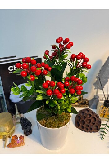 MY LOVE ÇİÇEKÇİLİK Luxury Large Size Bonsai Artificial Kokina in White Ceramic Pot