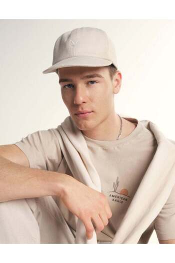 AMERICAN EAGLE AE Logo Baseball Hat
