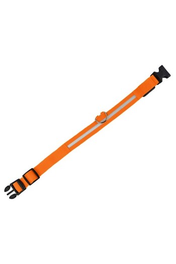 OEM Collar with LED Lighting for Dogs and Cats, Size M 46-54 Cm, Orange