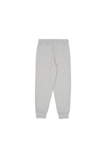 Frozen Girls' sweatpants, gray, side pockets, 122 cm, Frozen