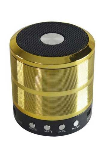 Generic Wireless Multimedia Speaker Gold
