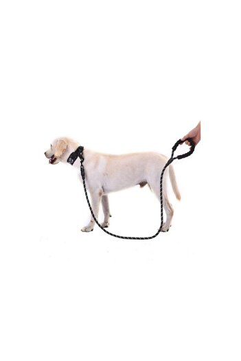 Seven Dog Neck Collar Reflective Walking Strap Small Medium Large Dog Collar Training Product Neck Collar