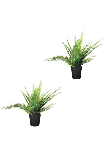 IKEA Potted plant of Fijika, 2 pieces