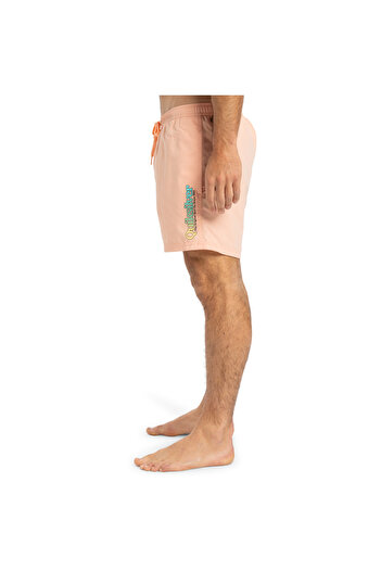 Quiksilver Spl Fineline 15 Men's Volleyball Shorts Men's Volleyball Shorts Eqyjv04141