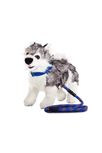 zola Dog leash, collar included, 120x1.3 cm, blue with pattern