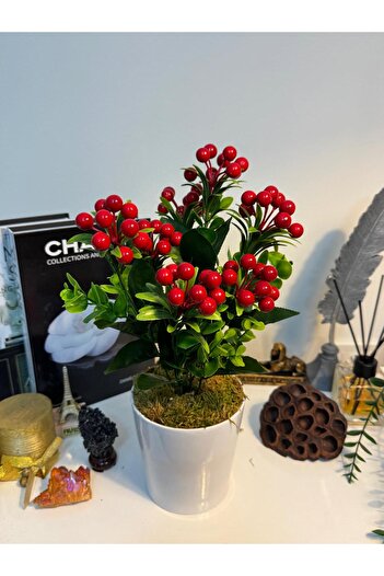 MY LOVE ÇİÇEKÇİLİK Luxury Large Size Bonsai Artificial Kokina in White Ceramic Pot