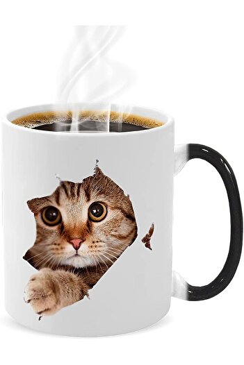 Be Care Ceramic Coffee Mug with Funny Cat Design and Heat-Sensitive Color Change, Capacity 11oz
