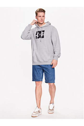 DC Mens Sweatshirt ADYSF03099 Gray