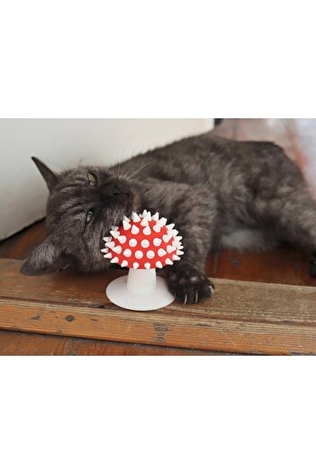 PUREYSMA Mushroom Look Cat Scratching Toy – Nuthouse Mushroom |   Catnip Compatible, Can Be Pasted to the Wall