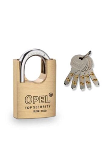 Venus Dsh Brass Padlock Cut Protection, Fingerprint Key Bldm-Tc - 40 Mm