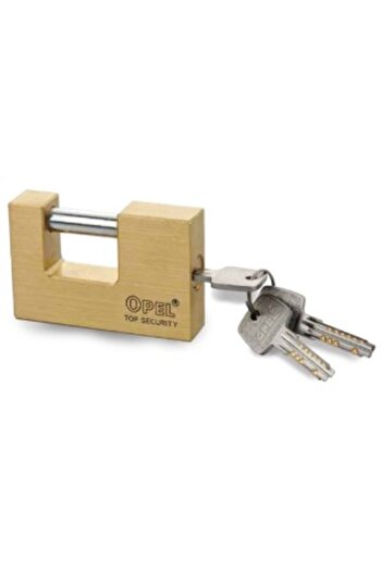 Venus Dsh Rectangular Brass Padlock, Wb-Dc Fingerprint Key - 70 Mm