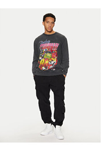 DC Mens Sweatshirt ADYSF03129-BAC Gray