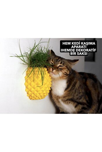 PUREYSMA Pineapple Shaped Cat Scratching Apparatus (Cat Grass Can Be Added – Wall Mounting – Decorative Design)
