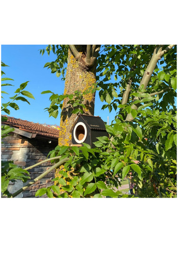 WoodenZoo Wooden Decorative Bird House Nest, Nest, Balcony, Garden Accessory (Black)