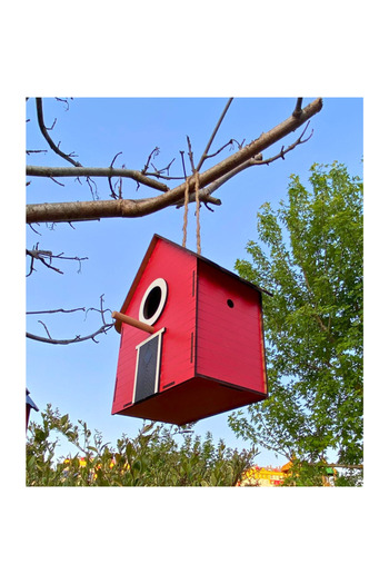 WoodenZoo Wooden Decorative Bird House Nest, Nest, Balcony, Garden Accessory (Red 16X10X22 cm)