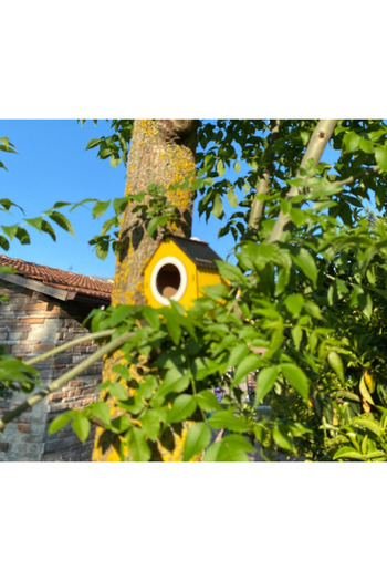 WoodenZoo Wooden Decorative Bird House Nest, Nest, Balcony, Garden Accessory (Yellow)