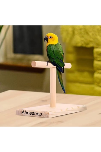 aliceshop Natural Wooden Bird Training Tunnel