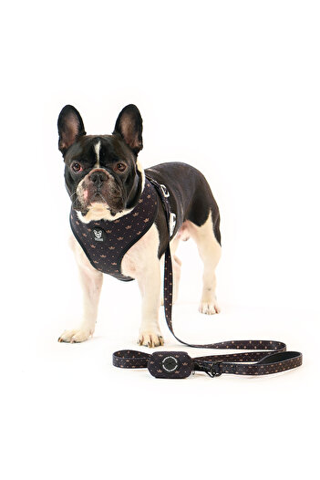 Famous Frenchie Puppy bag accessory, Famous Frenchie, King & Queen