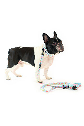 Famous Frenchie 3-piece set, collar, leash, accessory bags for puppies, Roses are Pink