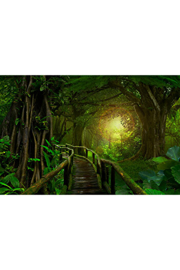 media Self-adhesive and washable wall mural Jungle Light, 250 x 150 cm