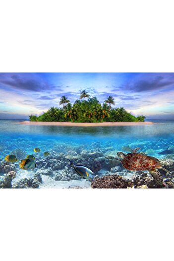 media Photo wallpaper Island with fish, 250 x 200 cm