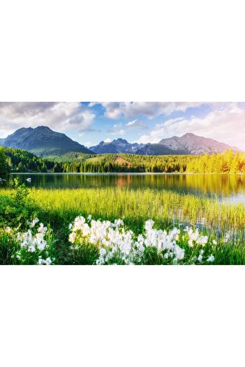 media Wallpaper Natura137, 300 x 250 cm