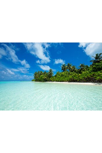 media Photo wallpaper Beach46, 250 x 200 cm