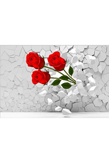 media Photo wallpaper Red roses through the wall, 250 x 200 cm
