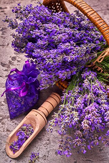 media Photo wallpaper Flori167 Basket with lavender, 200 x 255 cm