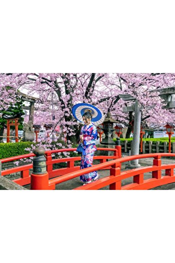 media Self-adhesive photo wallpaper Cherry blossom bridge, 270 x 200 cm