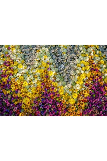 media Sticker Flowers65, 220 x 135 cm
