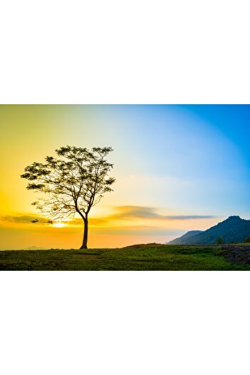 media Self-adhesive and washable wall mural Natura27, 300 x 200 cm