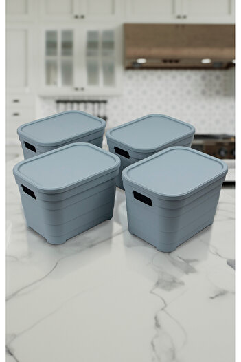 Nesto Home Set of 4 Multi-Purpose Colorful Box with Lid Office Organizer 4X5 Liters