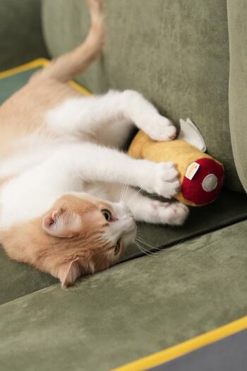 pawdaz Matatabi - Golden Fish (24x11cm) Cat Toy with Lots of Sounds and Lots of Scents