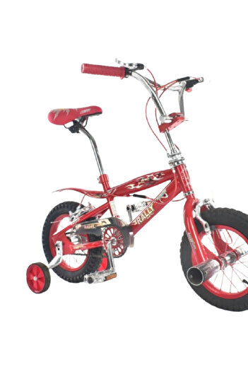 rexa Classic Metallic Bicycle Size 12