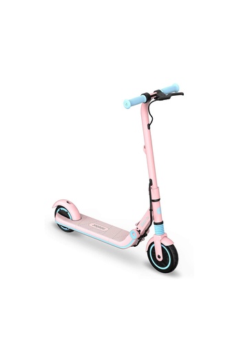 Ninebot Electric Scooter Segway Ekickscooter E8