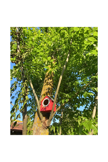 WoodenZoo Wooden Decorative Bird House Nest, Nest, Balcony, Garden Accessory (Red)
