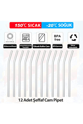 BERYA HOME 12 Curved Glass Pipettes and 2 Cleaning Brushes