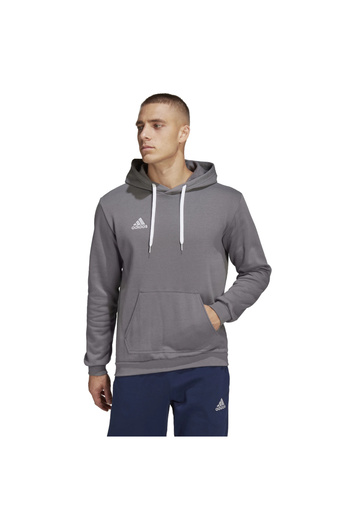 adidas Entrada 22 Sweat Hoodie, Men's Hoodie